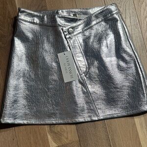 Torn by Ronny Kobo Silver Mini Skirt